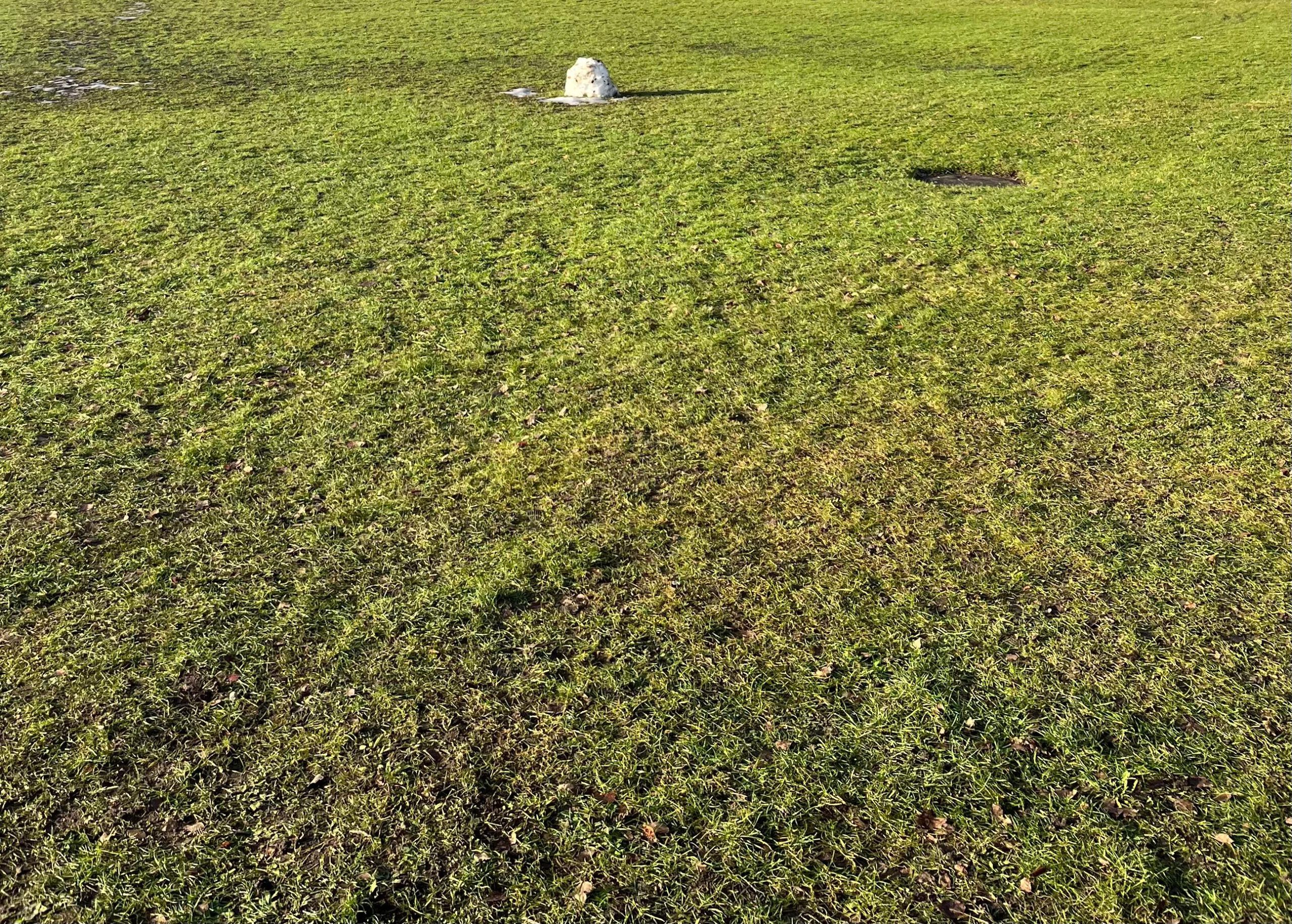 Du betrachtest gerade Zukunft der Deponiefläche am Neusurenland: Transparenz und Perspektiven für den Stadtteil